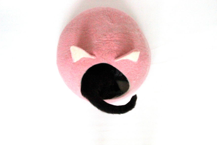 Our Cat And Her Wool Beds Our Cat And Her Wool Beds