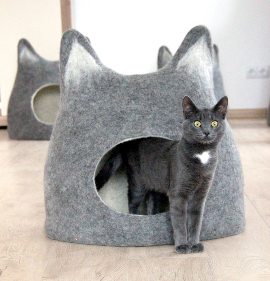 Our Cat And Her Wool Beds