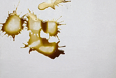 Pareidolia: I Draw The Images I See In Stains Pareidolia: I Draw The Images I See In Stains