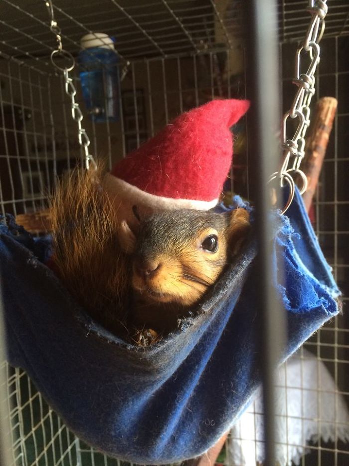 He See's You When Your Sleeping.