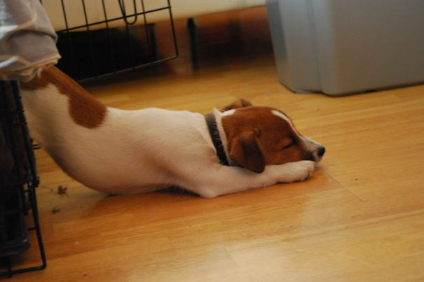 Wanna Plaay..aa..hh....zzz