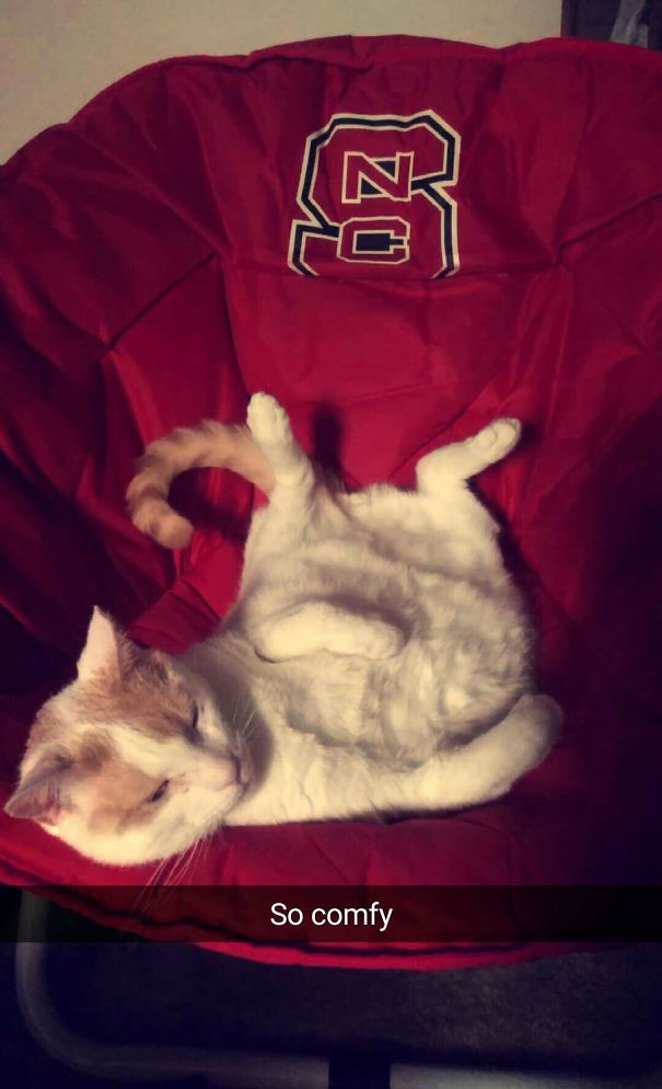 Post Snack Time Naps