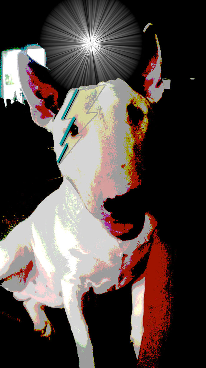 The Stars Look Very Different Today.........