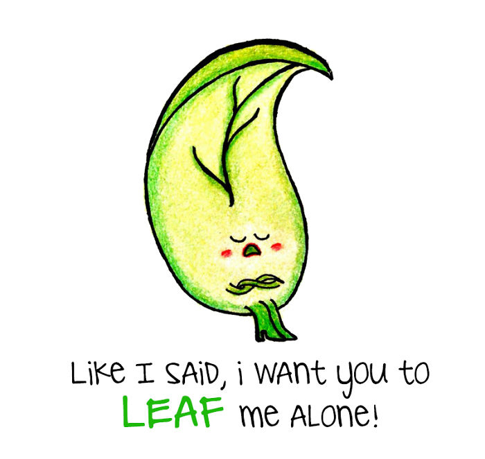 We Made This Cute Animals, Fruits, & Vegetables Into Puns To Replace Your Memes