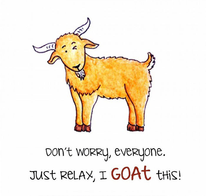 We Made This Cute Animals, Fruits, & Vegetables Into Puns To Replace Your Memes