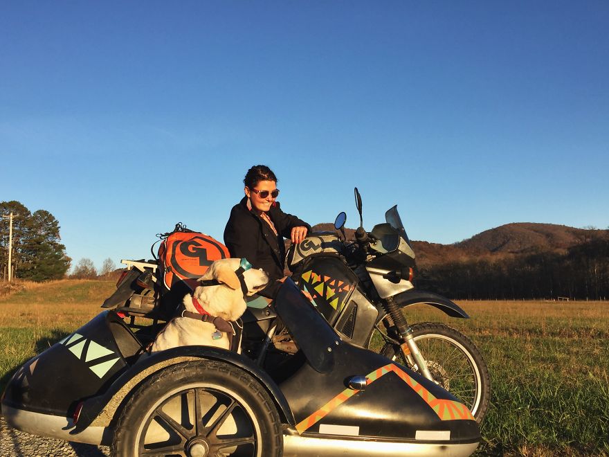 Adventure Dog Travels North America In A Motorcycle Sidecar With His Best Friend
