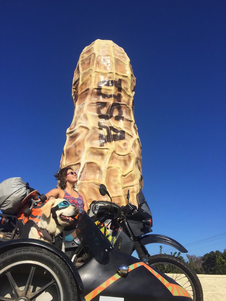 Adventure Dog Travels North America In A Motorcycle Sidecar With His Best Friend Adventure Dog Travels North America In A Motorcycle Sidecar With His Best Friend