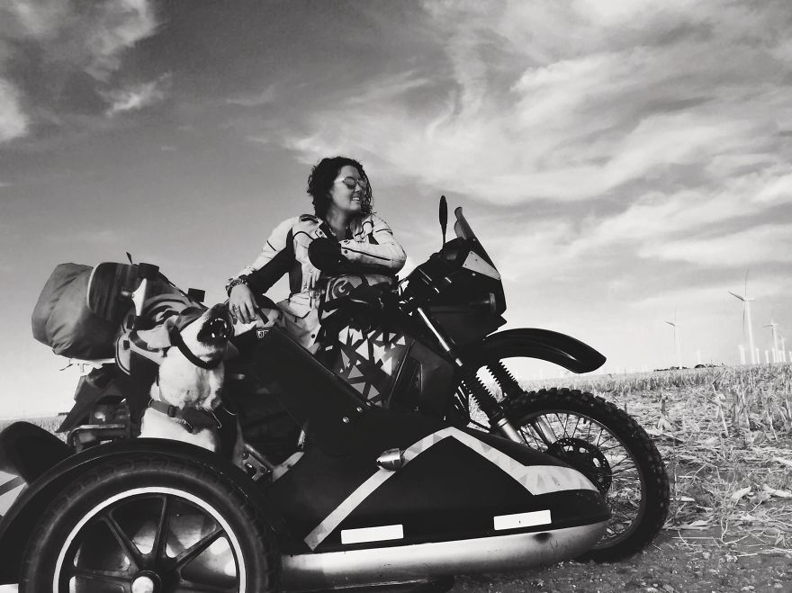 Adventure Dog Travels North America In A Motorcycle Sidecar With His Best Friend Adventure Dog Travels North America In A Motorcycle Sidecar With His Best Friend