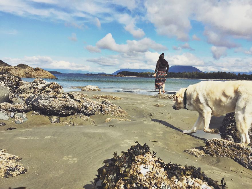 Adventure Dog Travels North America In A Motorcycle Sidecar With His Best Friend
