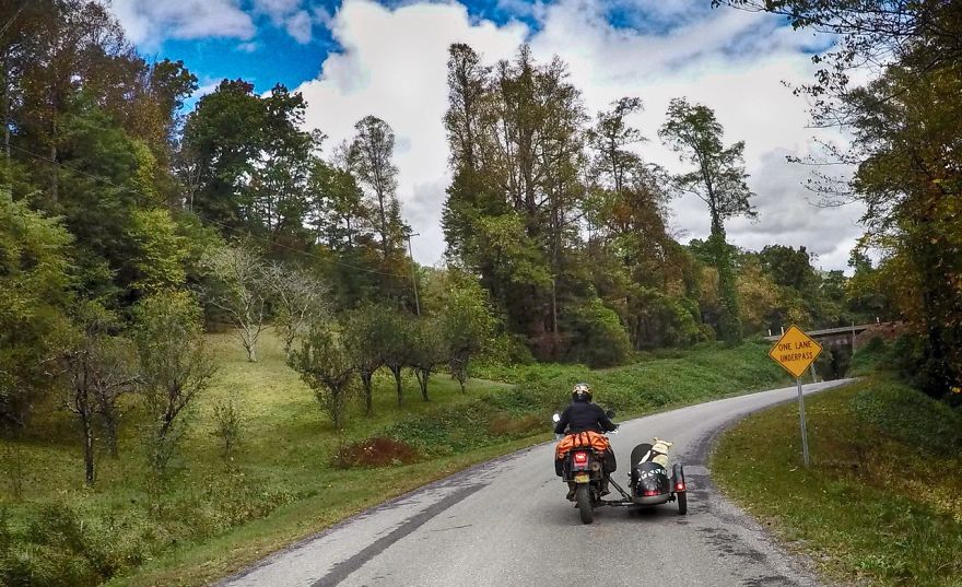 Adventure Dog Travels North America In A Motorcycle Sidecar With His Best Friend