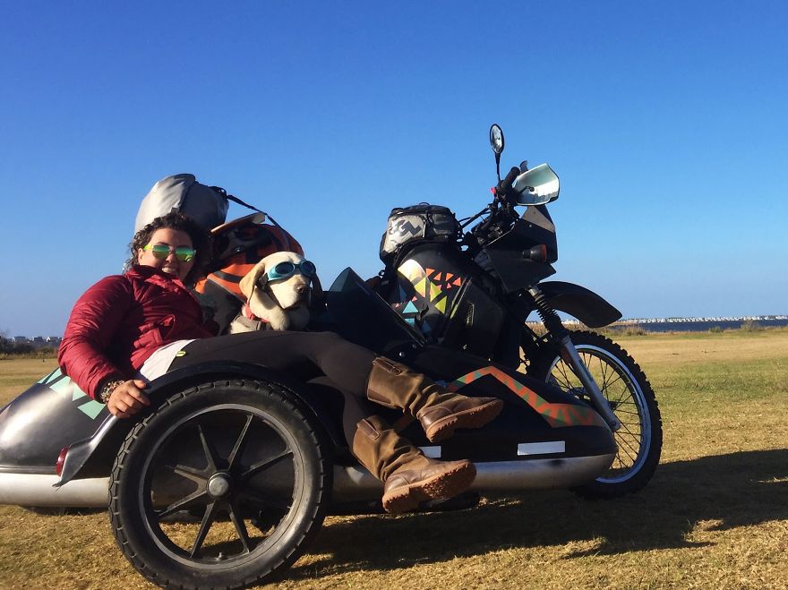 Adventure Dog Travels North America In A Motorcycle Sidecar With His Best Friend Adventure Dog Travels North America In A Motorcycle Sidecar With His Best Friend