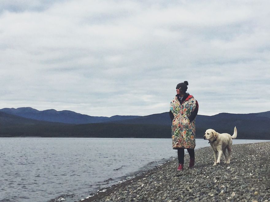 Adventure Dog Travels North America In A Motorcycle Sidecar With His Best Friend