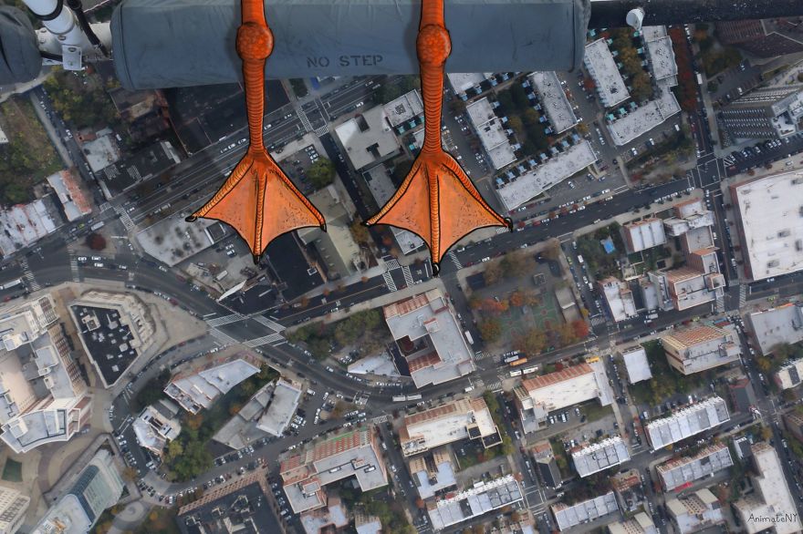 I Animate The World I Animate The World