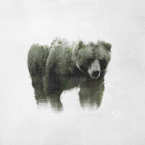 animated-double-exposure-animals-said-dagdeviren-gif-2