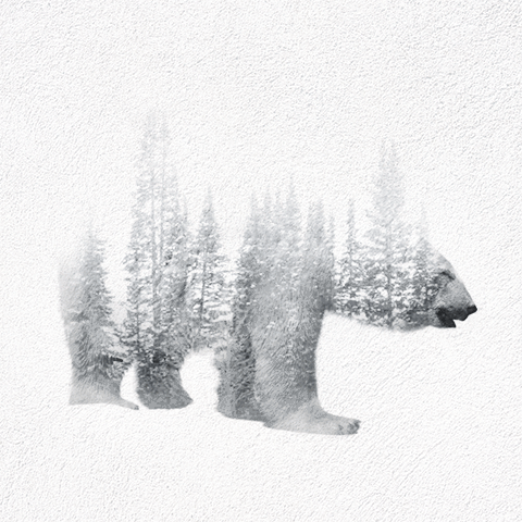 animated-double-exposure-animals-said-dagdeviren-gif-4