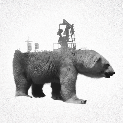 animated-double-exposure-animals-said-dagdeviren-gif-6