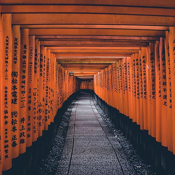 Symmetrical Monsters