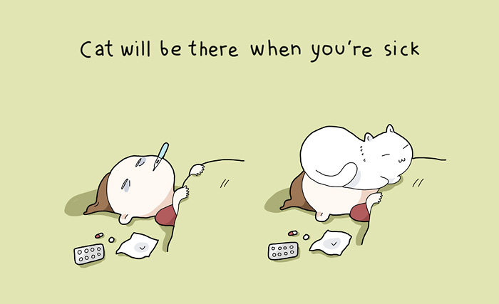 21 Benefits Of Having A Cat