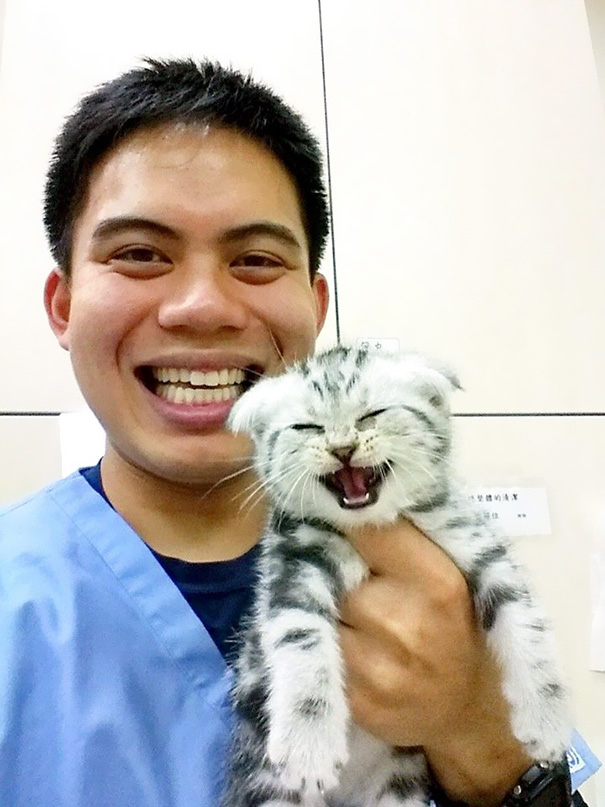 My Friend Posted A Photo Of A Cat He Took Care Of While On His Vet Internship In Taiwan