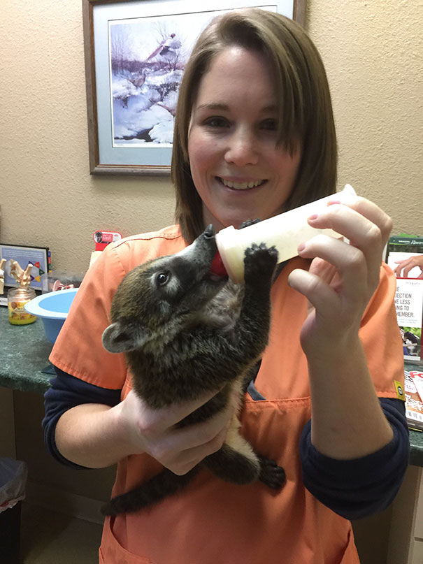 Vet Tech Dies Moments After Taking This Photo From Over Dosing On