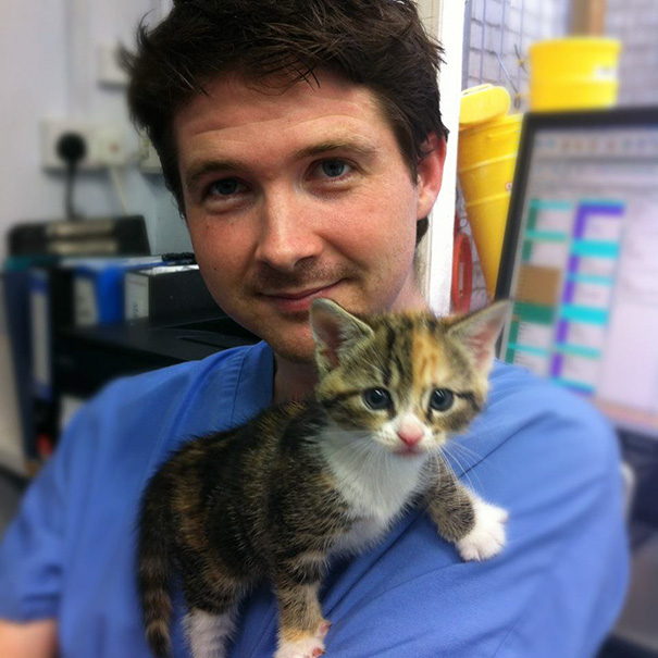 Veterinarian With A Patient