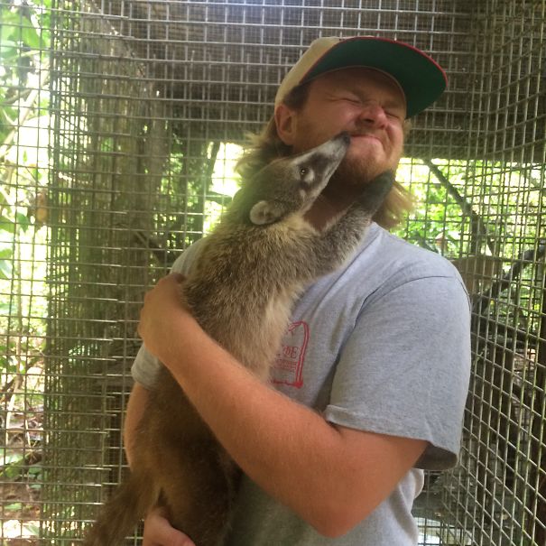 One Of Our Interns Working At The Belize Zoo