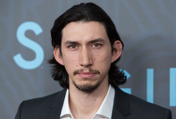 cat-look-alike-adam-driver-1 cat-look-alike-adam-driver-1