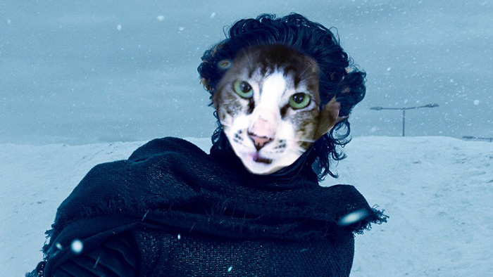 cat-look-alike-adam-driver-7