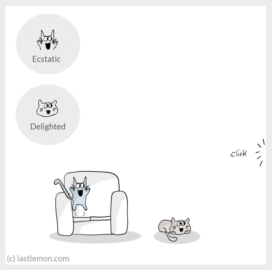 Cat Moods Explained