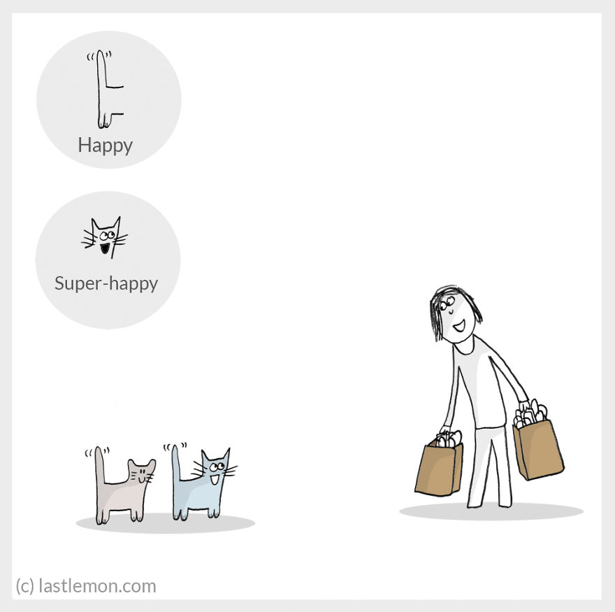 Cat Moods Explained