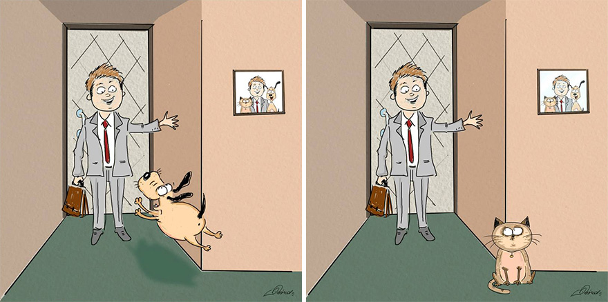 cats-vs-dogs-funny-illustrations-bird-born-2 cats-vs-dogs-funny-illustrations-bird-born-2