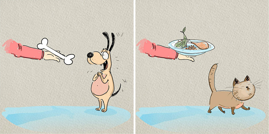 cats-vs-dogs-funny-illustrations-bird-born-3 cats-vs-dogs-funny-illustrations-bird-born-3