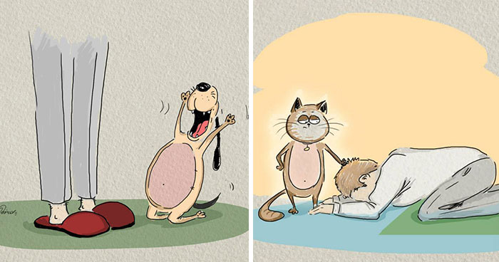 Cats Vs Dogs: 6 Differences Illustrated By Bird Born