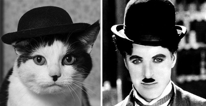 Black and white cat wearing a bowler hat next to a famous celebrity doppelganger animal in classic attire.