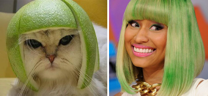Cat wearing a green fruit peel helmet next to a woman with matching green bob hairstyle, celebrity doppelganger animals concept.