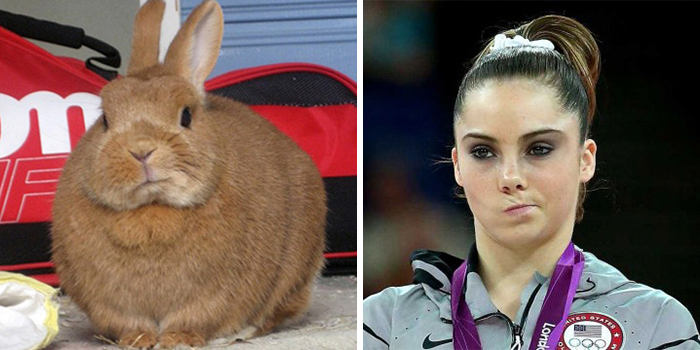 A brown rabbit with upright ears next to a female athlete making a playful facial expression, showcasing celebrity doppelganger animals.