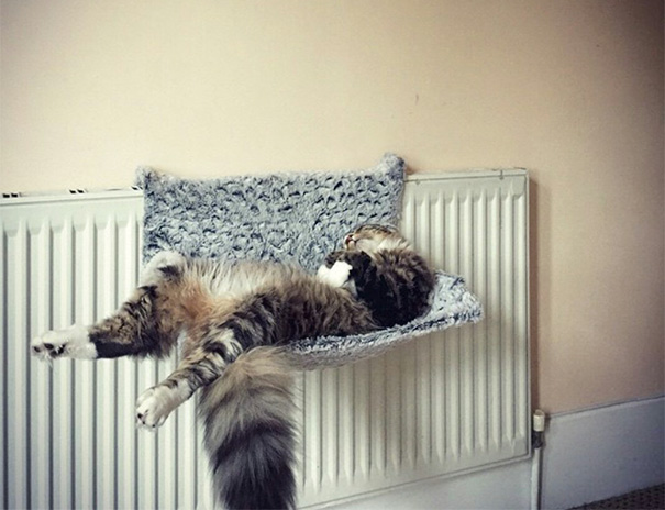 This Is Where He Sleeps