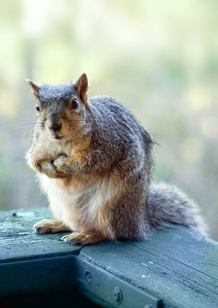 Brrr, It's Really Cold Outside