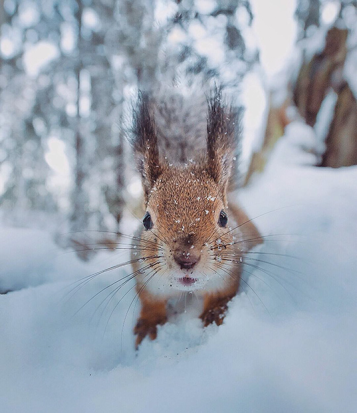 Can You Win This Guy In A Staring Competition?