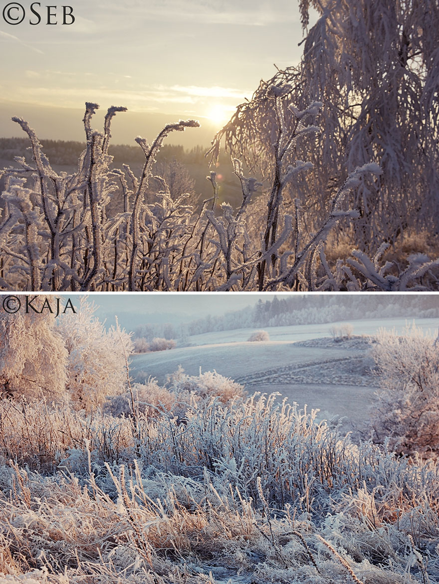 Despite Being A Professional Photographer, I Decided To Learn Anew From My Daughter With Down Syndrome Despite Being A Professional Photographer, I Decided To Learn Anew From My Daughter With Down Syndrome