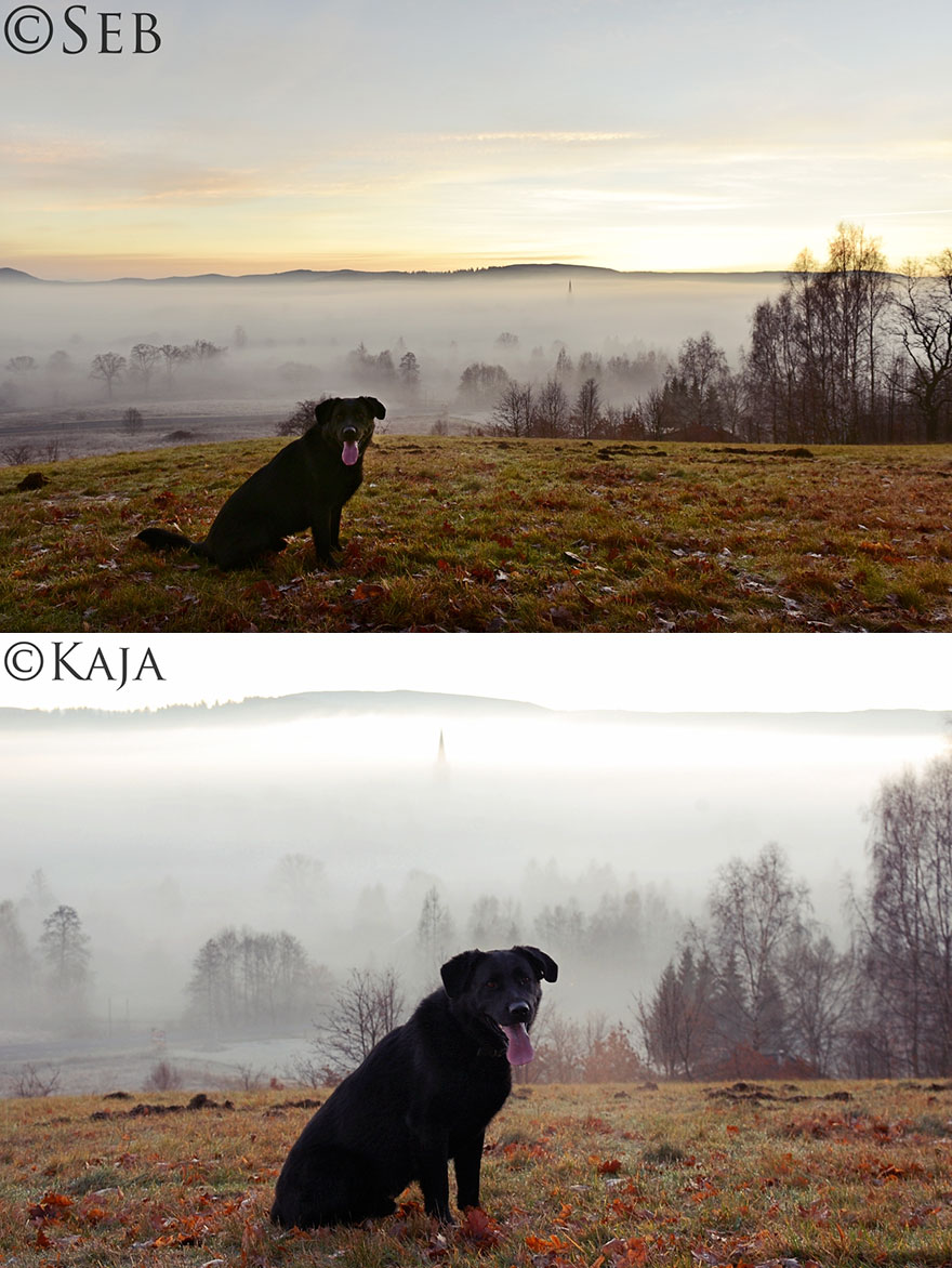 Despite Being A Professional Photographer, I Decided To Learn Anew From My Daughter With Down Syndrome Despite Being A Professional Photographer, I Decided To Learn Anew From My Daughter With Down Syndrome