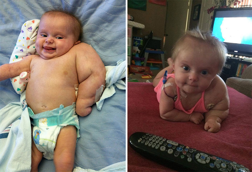 doc-three-legged-cat-amputee-girl-scarlette-50