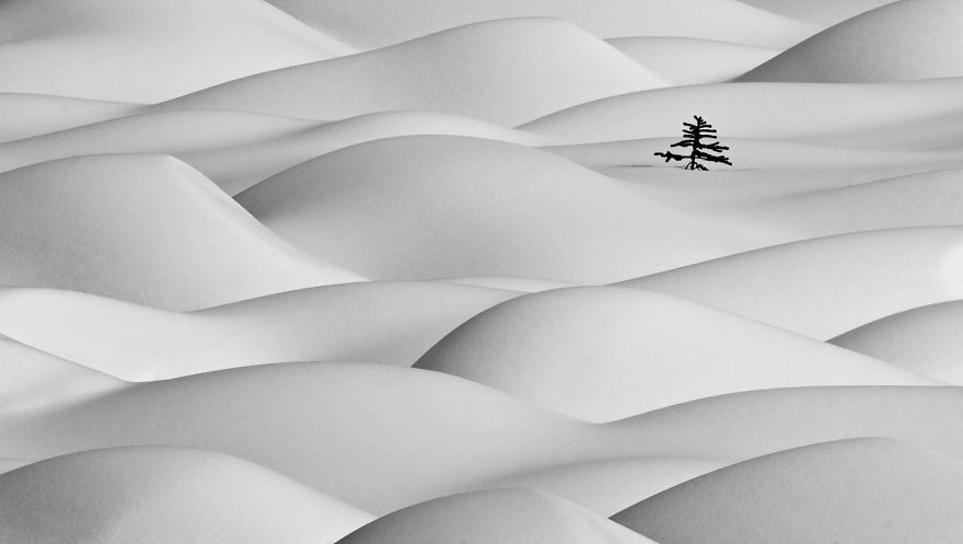 The Beauty Of Winter Captured In Minimalist Pictures The Beauty Of Winter Captured In Minimalist Pictures