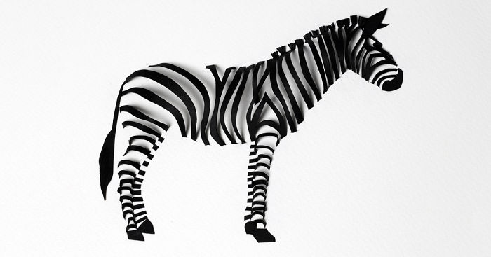 Paper Loops: I Create 3D Animals Using Shadows