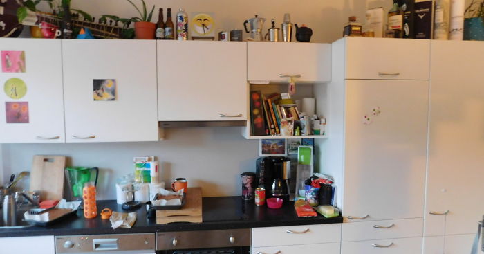 Can You Find My Cat Pedro In This Pic?