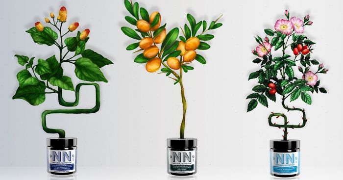 My Colored Pencil Drawings Of Plants