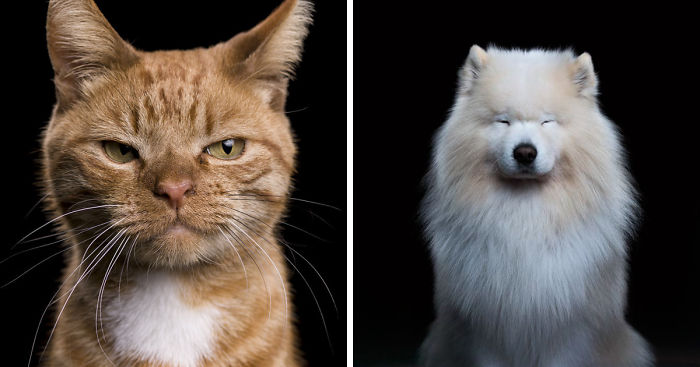 After Posting My Photo Project On Bored Panda My Work Got Popular And Now I’m Releasing A Book