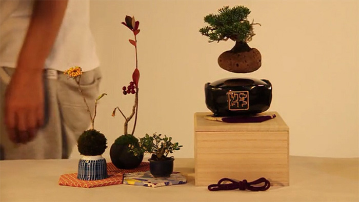 floating-bonsai-trees-air-hoshinchu-66 floating-bonsai-trees-air-hoshinchu-66
