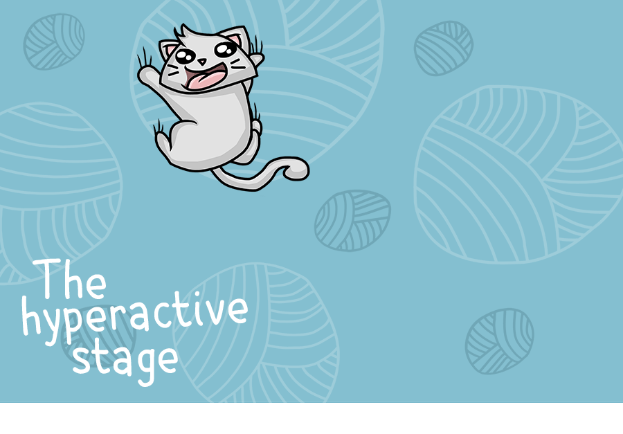 Cats On Catnip: I Illustrated The 7 Stages They Go Through