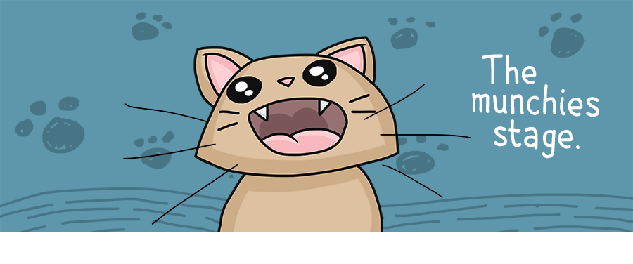 Cats On Catnip: I Illustrated The 7 Stages They Go Through